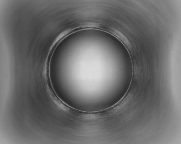 X0000112941044200908241316