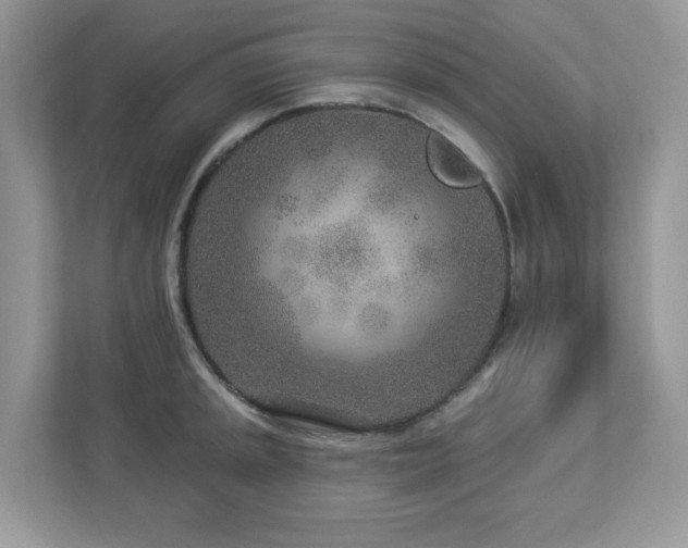 X0000112941045200908241316