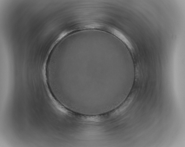 X0000112941047200908241316