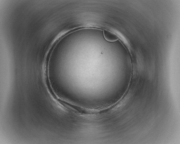 X0000112941048200908241316