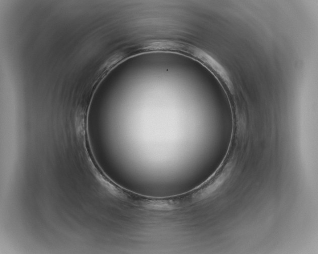 X0000112941049200908241316