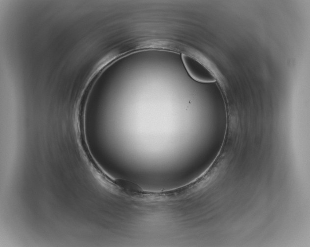 X0000112941050200908241316