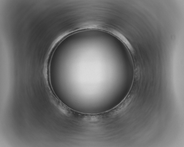 X0000112941051200908241316