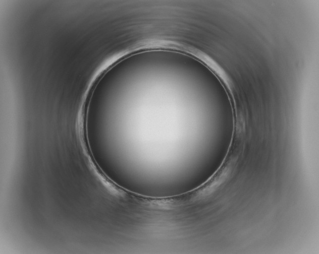 X0000112941053200908241316