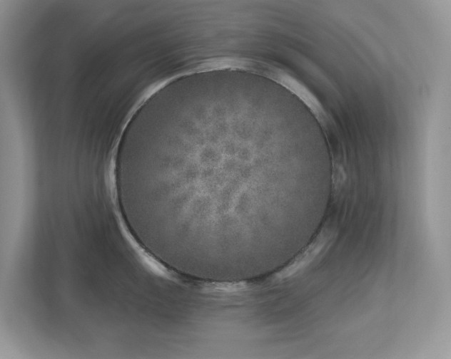 X0000112941055200908241316