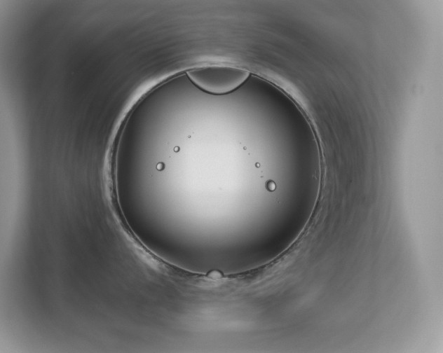 X0000112941056200908241316