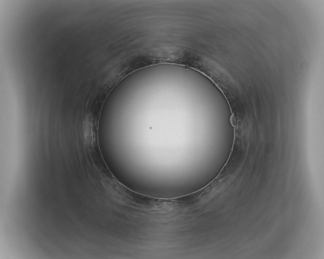 X0000112941058200908241316