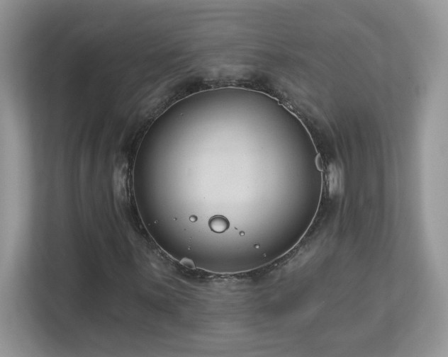 X0000112941059200908241316