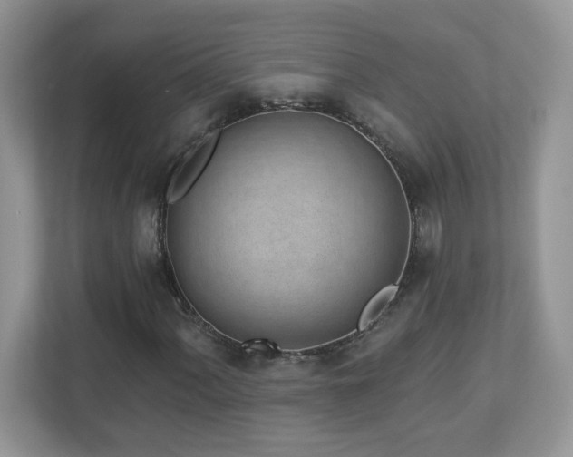 X0000112941060200908241316