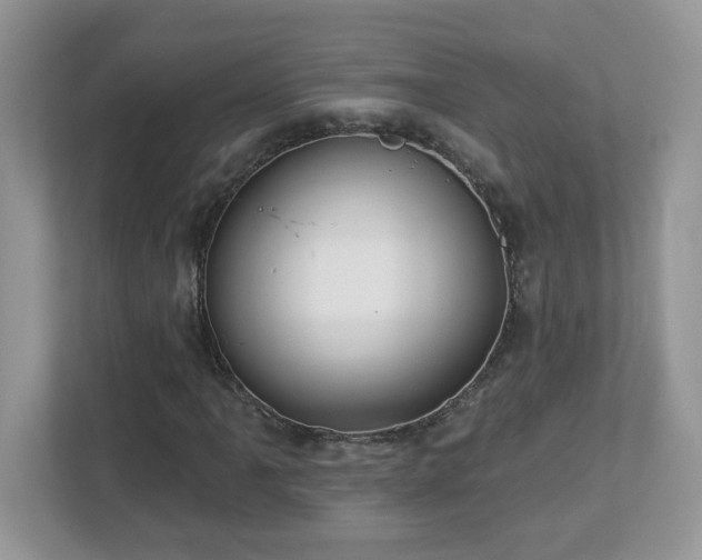 X0000112941061200908241316