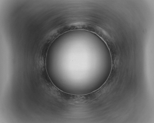 X0000112941062200908241316