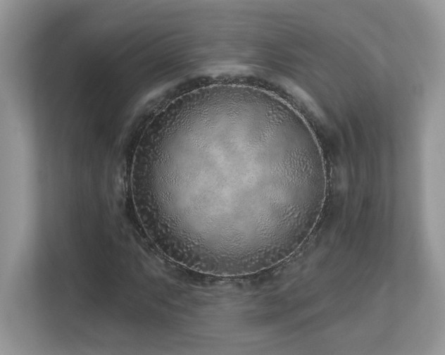 X0000112941063200908241316