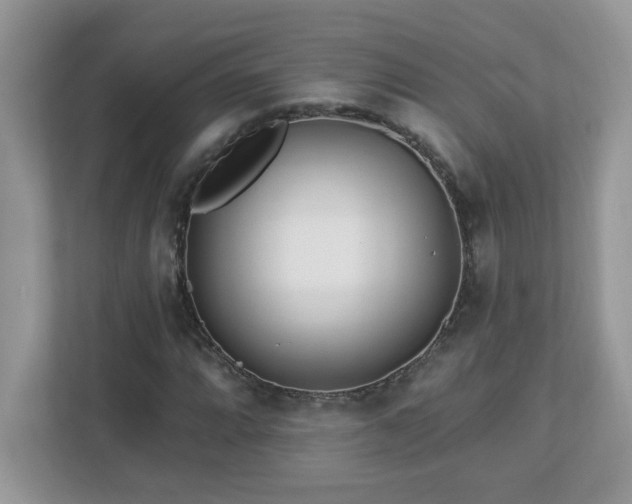 X0000112941064200908241316