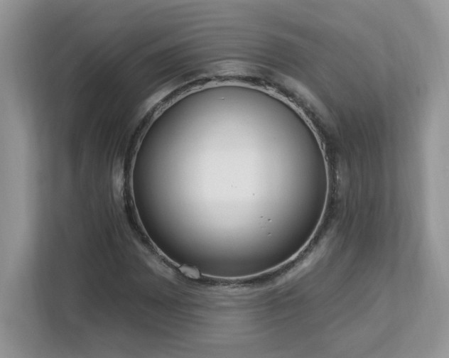 X0000112941065200908241316