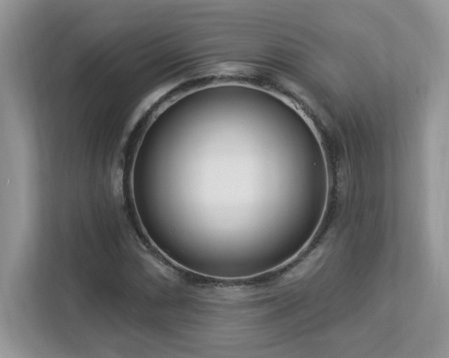 X0000112941066200908241316