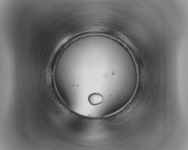 X0000112941067200908241316