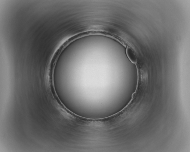X0000112941068200908241316
