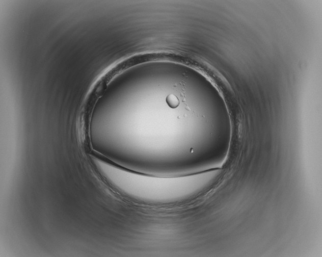 X0000112941069200908241316