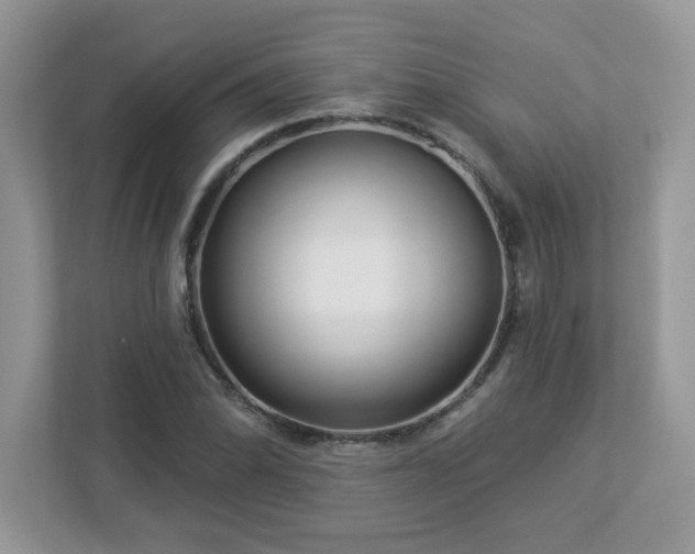 X0000112941070200908241316