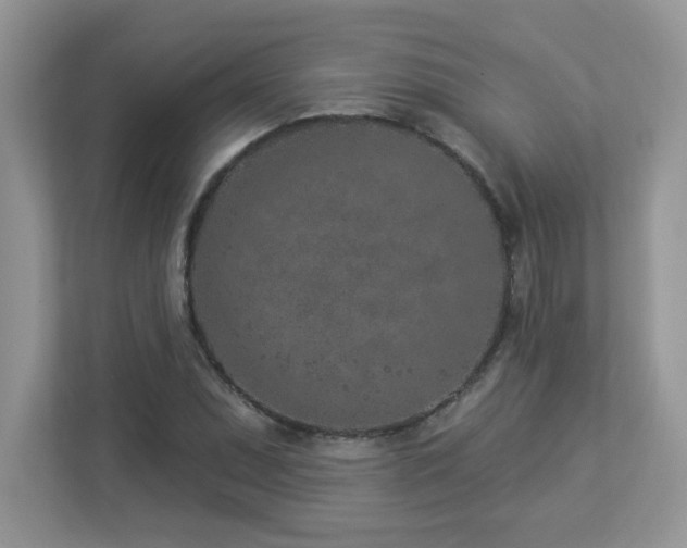 X0000112941071200908241316