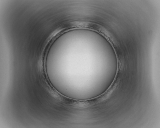 X0000112941074200908241316