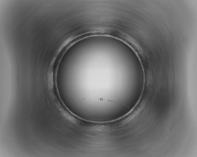 X0000112941075200908241316
