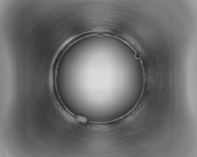 X0000112941076200908241316