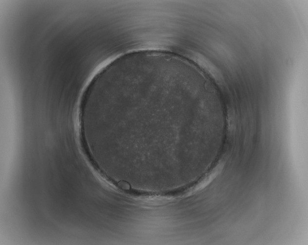 X0000112941077200908241316
