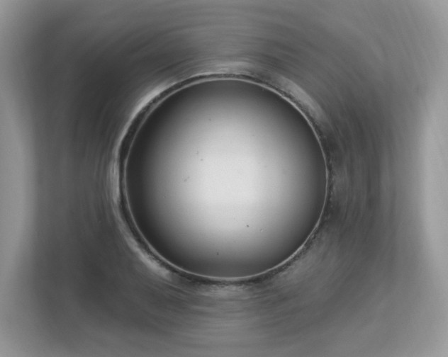 X0000112941079200908241315