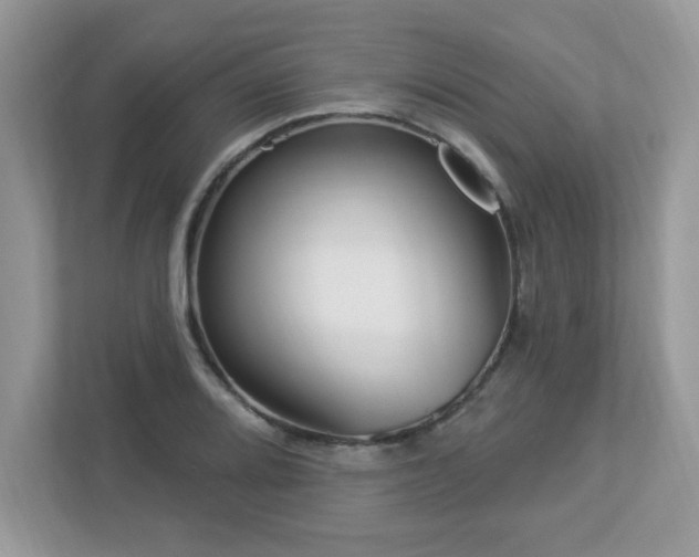 X0000112941080200908241315