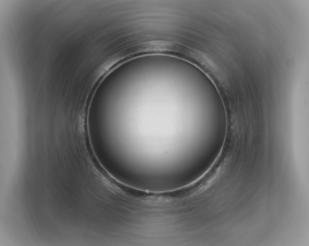 X0000112941081200908241315