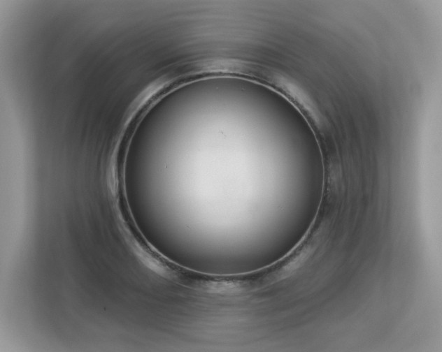 X0000112941082200908241315