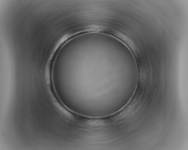 X0000112941083200908241315