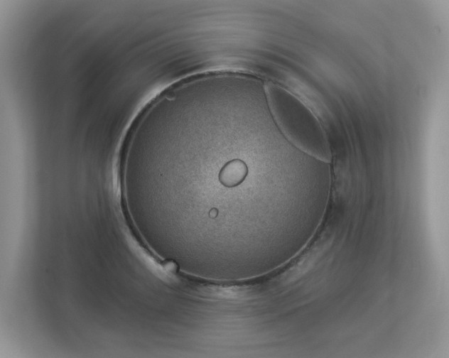 X0000112941084200908241315