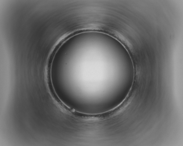 X0000112941085200908241315