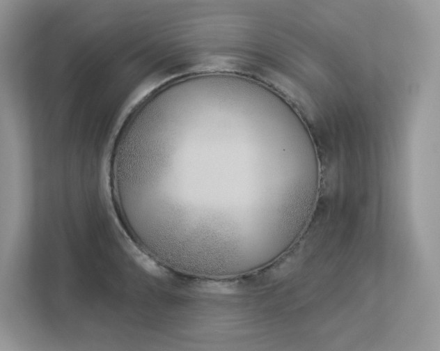 X0000112941086200908241315