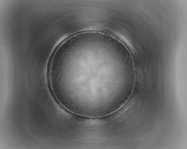 X0000112941087200908241315