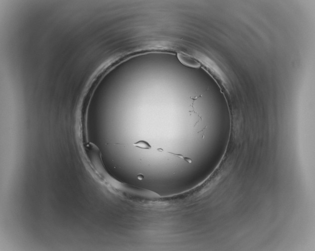 X0000112941088200908241315