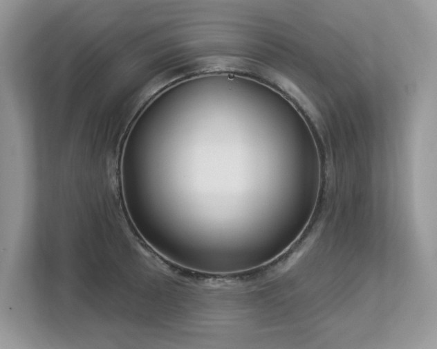X0000112941089200908241315