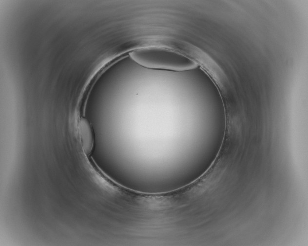 X0000112941092200908241315
