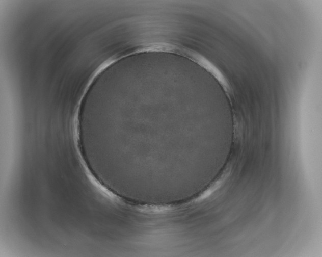 X0000112941095200908241315