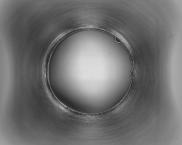 X0000112941096200908241315