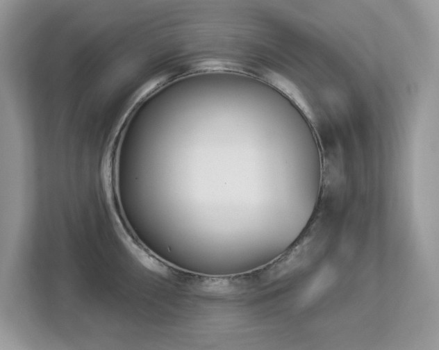 X0000112941098200908241315