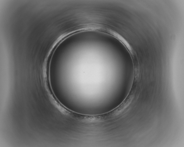 X0000112941099200908241315