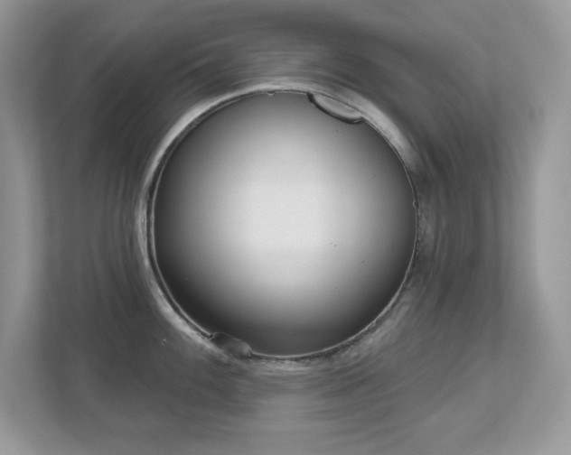 X0000112941100200908241315