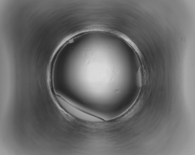 X0000112941101200908241315