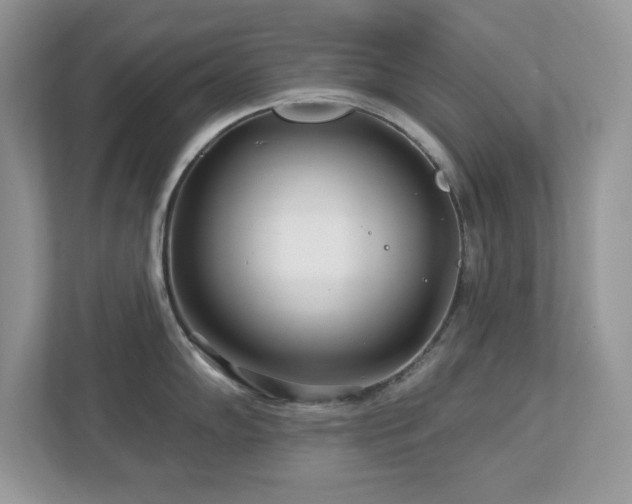 X0000112941102200908241315