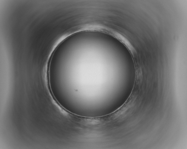 X0000112941103200908241315