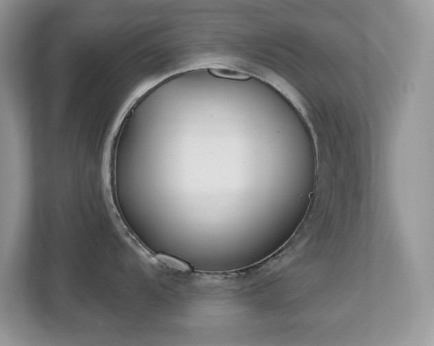 X0000112941104200908241315