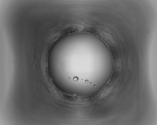 X0000112941105200908241315